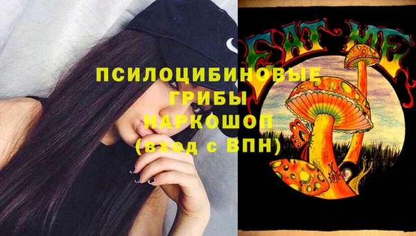 хмурый Армянск