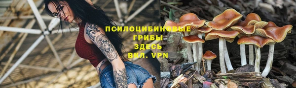 хмурый Армянск