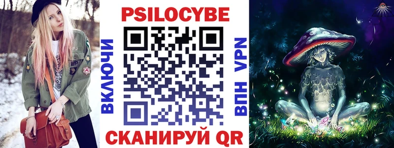 kraken как зайти  Собинка  Псилоцибиновые грибы Psilocybe  закладки 